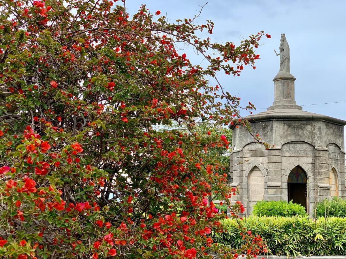 مبيت وإفطار بارغيليا Villino Eleonora المظهر الخارجي الصورة